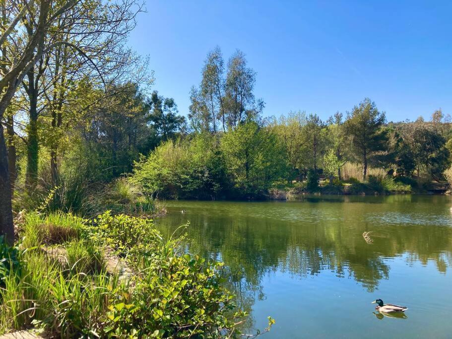 Les Restanques Bougainvillee 2051 Grimaud Exterior foto